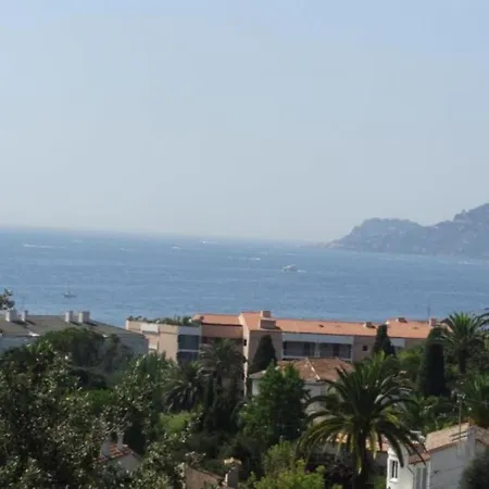 Livia - Citea - Groupe Pierre & Tourisme Piscine Et A Proximite - Renovee Cannes